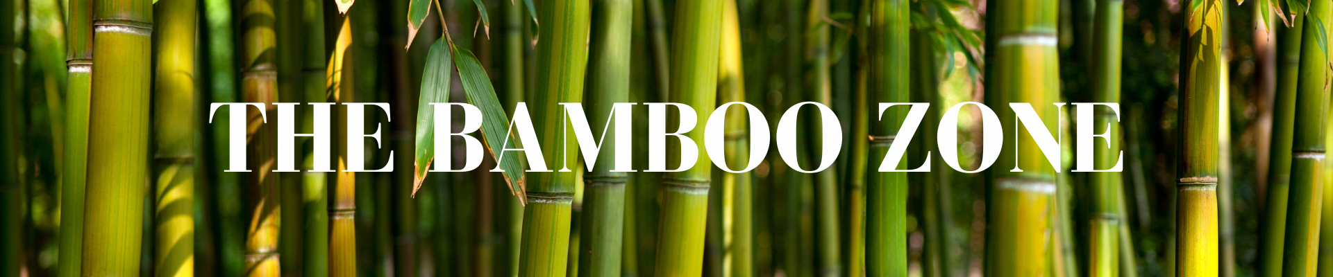 The bamboo zone