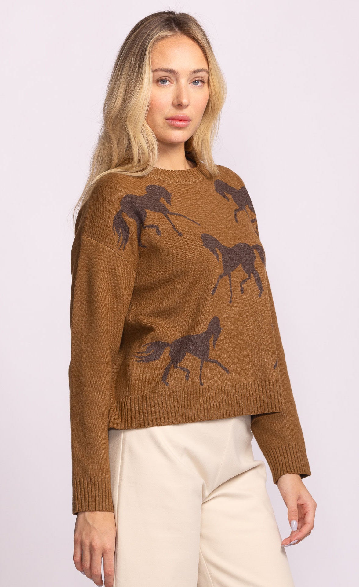 Meadow Sweater Brown