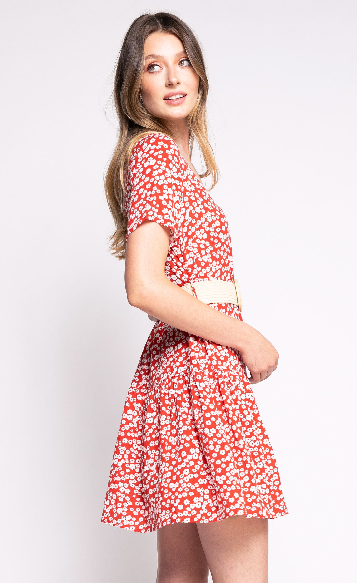 The Lylou Dress - Pink Martini Collection