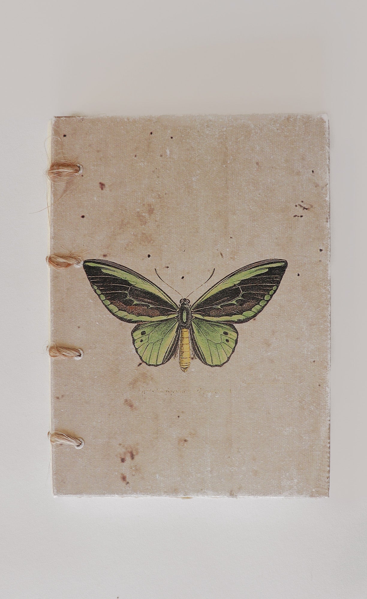 The Butterfly Hand Binded Journal - Pink Martini Collection